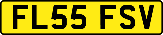 FL55FSV