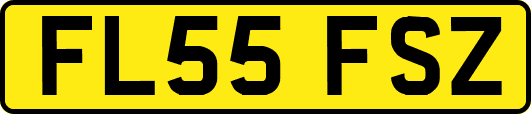FL55FSZ