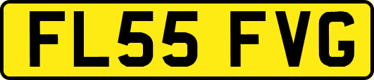 FL55FVG
