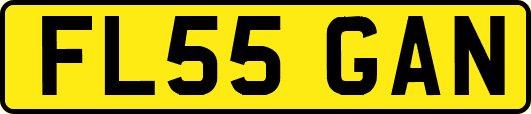 FL55GAN