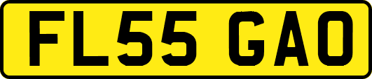 FL55GAO