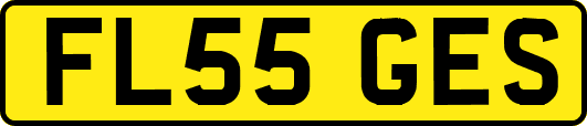 FL55GES