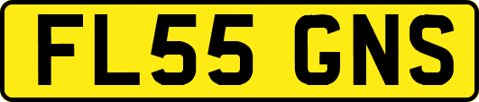 FL55GNS