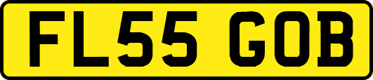 FL55GOB