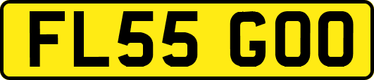 FL55GOO