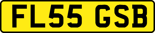 FL55GSB