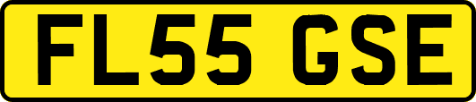 FL55GSE