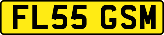 FL55GSM