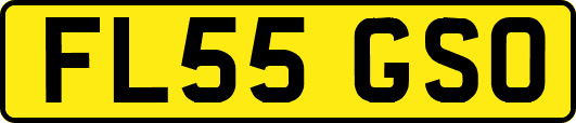 FL55GSO