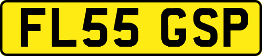 FL55GSP