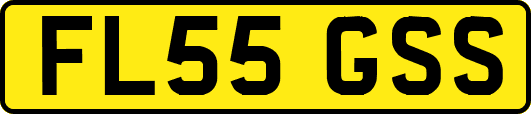 FL55GSS