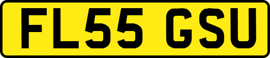 FL55GSU