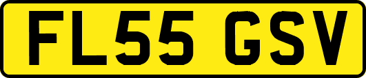 FL55GSV