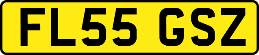 FL55GSZ