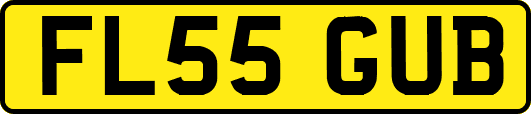 FL55GUB