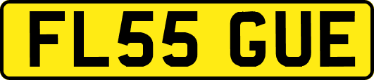 FL55GUE