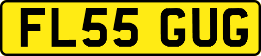 FL55GUG