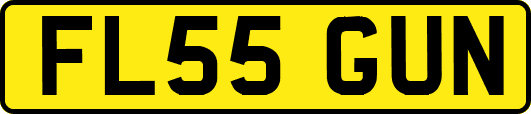 FL55GUN