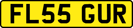 FL55GUR