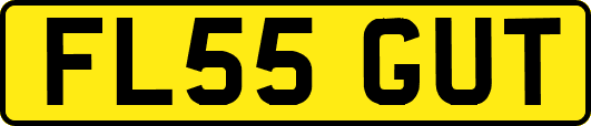 FL55GUT