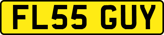FL55GUY