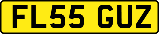FL55GUZ