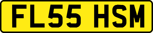 FL55HSM