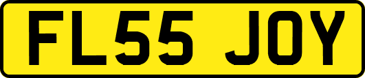 FL55JOY