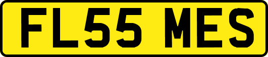 FL55MES