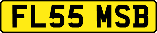 FL55MSB
