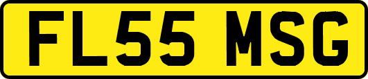 FL55MSG