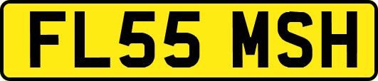 FL55MSH