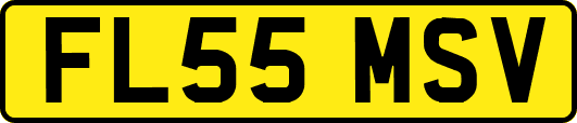 FL55MSV