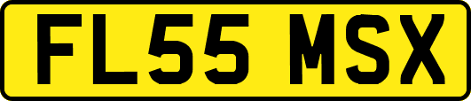 FL55MSX