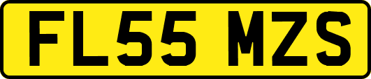 FL55MZS