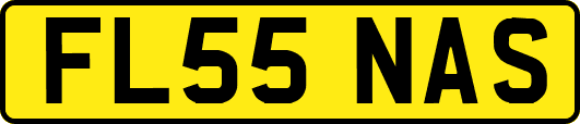FL55NAS