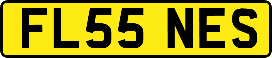 FL55NES