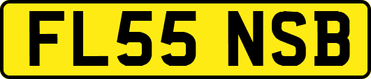 FL55NSB