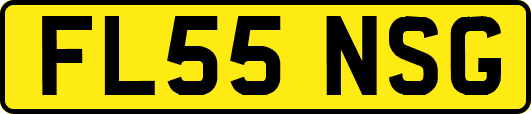 FL55NSG