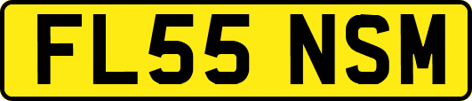 FL55NSM