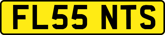 FL55NTS
