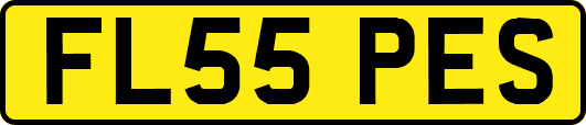 FL55PES