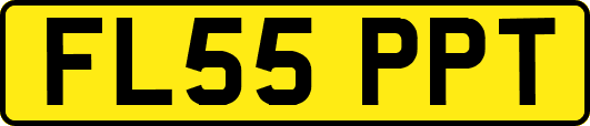 FL55PPT