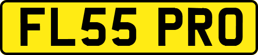 FL55PRO