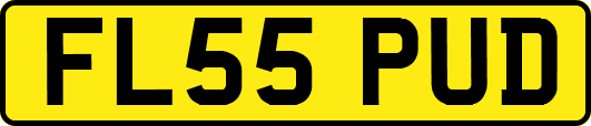 FL55PUD