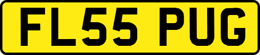 FL55PUG