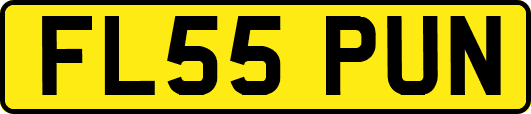 FL55PUN