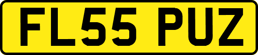 FL55PUZ