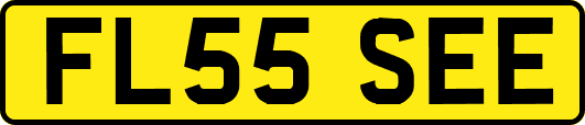 FL55SEE