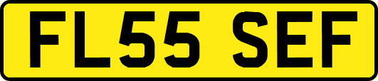 FL55SEF